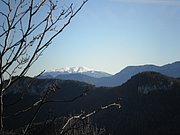 PB140046.JPG