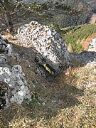PB140055.JPG