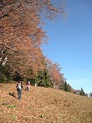 PB140060.JPG