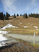 PB140075.JPG