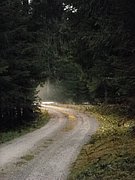PB140108.JPG