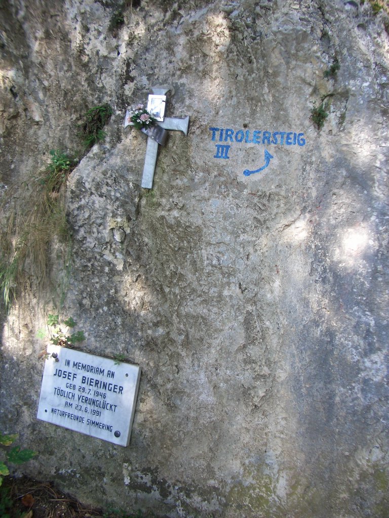 CIMG2846.JPG