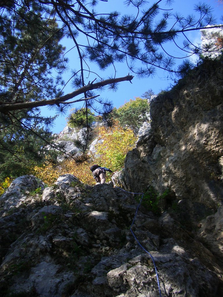 CIMG2848.JPG