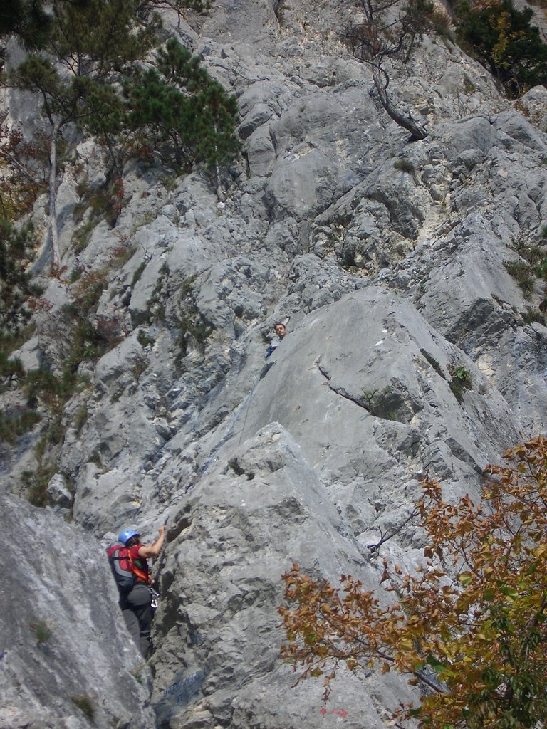 CIMG2852.JPG