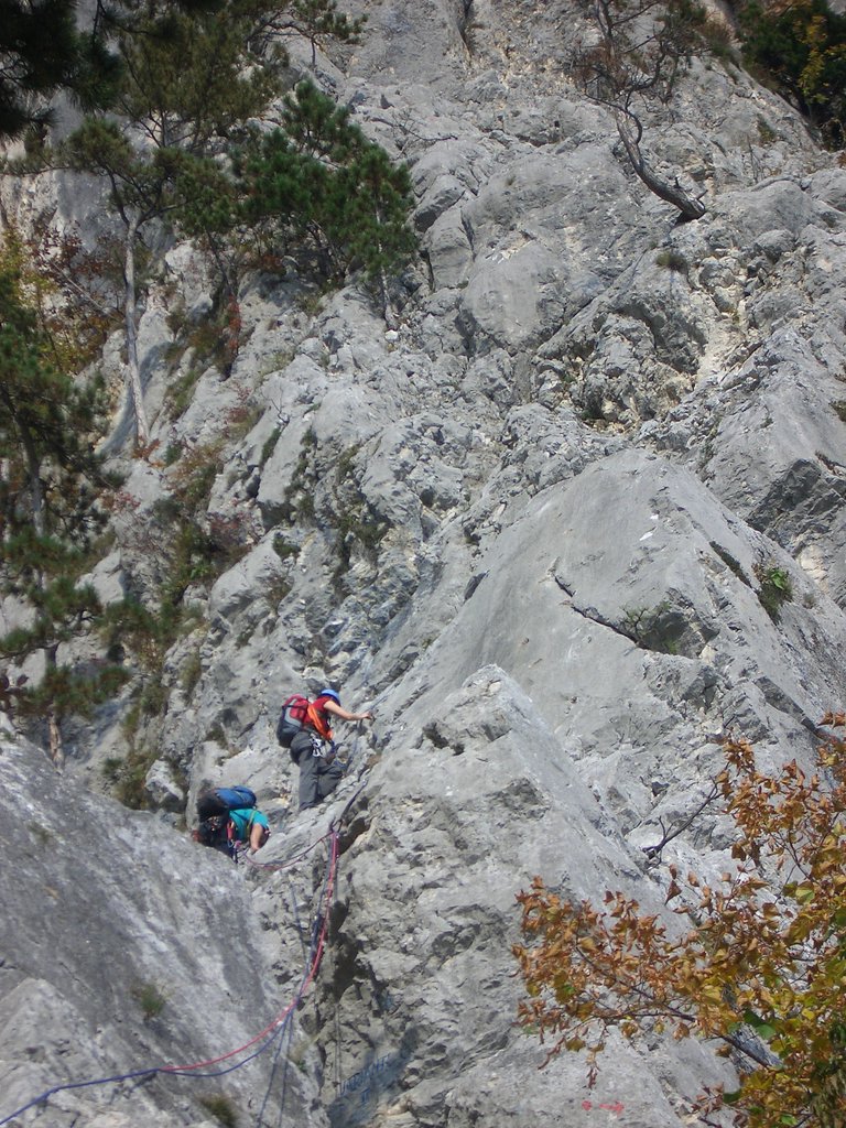 CIMG2854.JPG