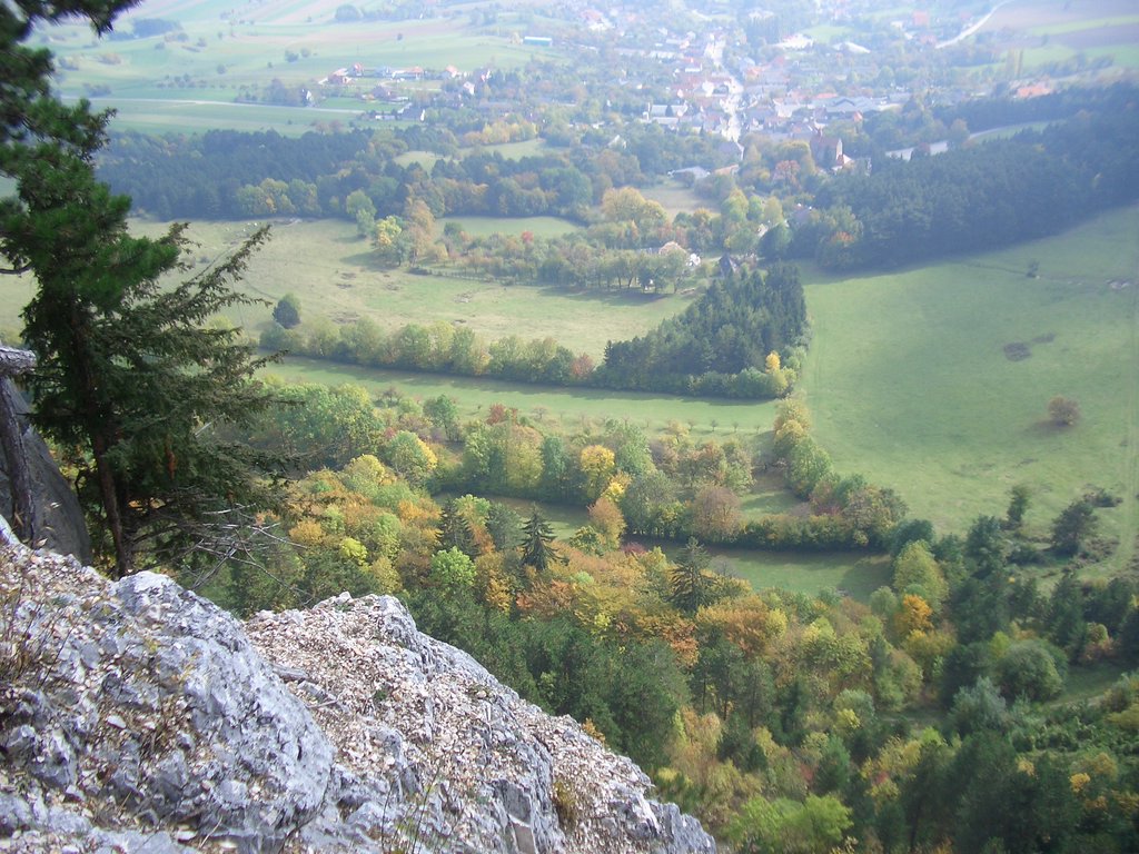 CIMG2867.JPG