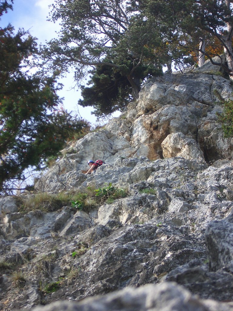CIMG2879.JPG
