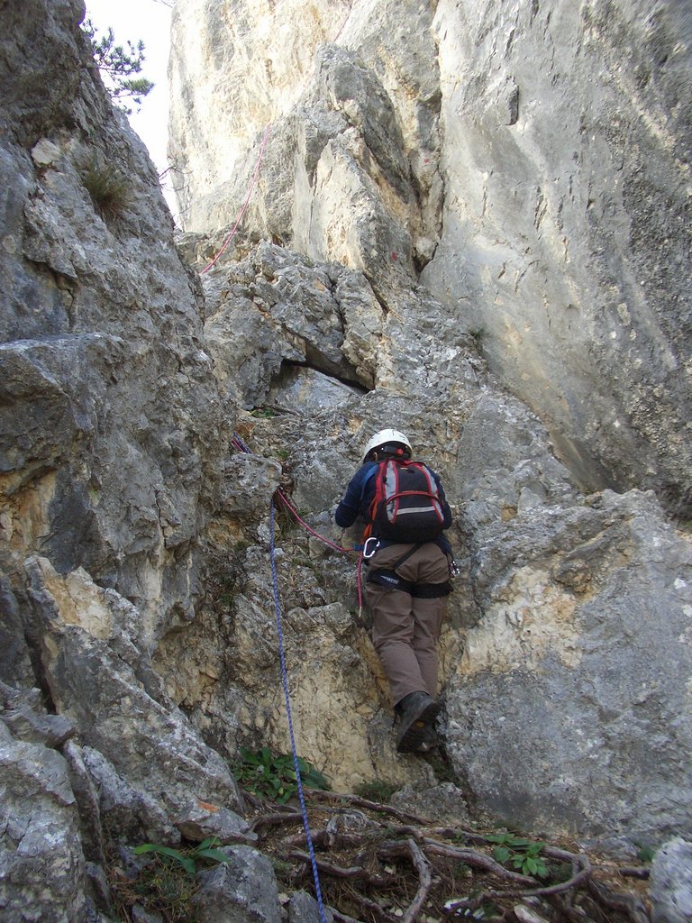 CIMG2893.JPG