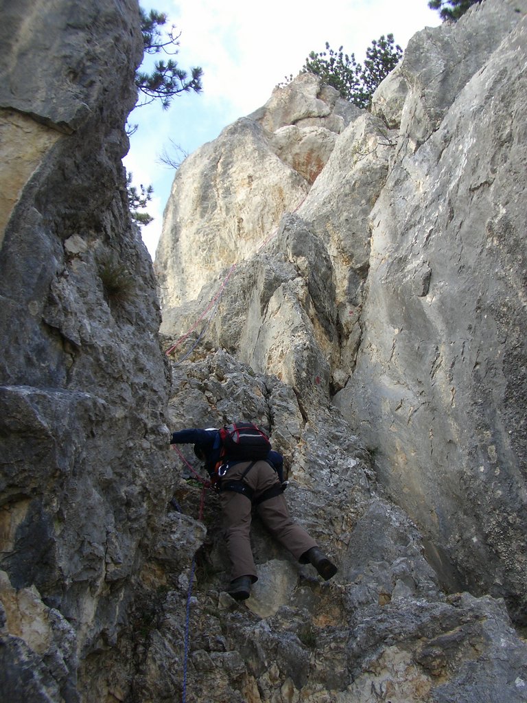CIMG2894.JPG