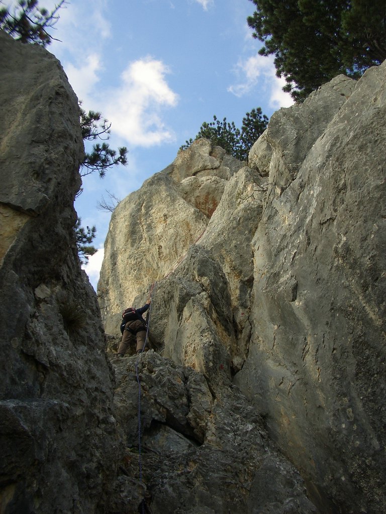 CIMG2895.JPG
