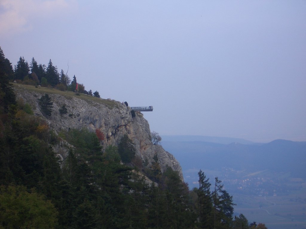 CIMG2901.JPG