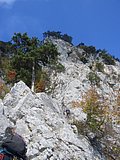 CIMG2851.JPG