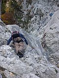 CIMG2855.JPG