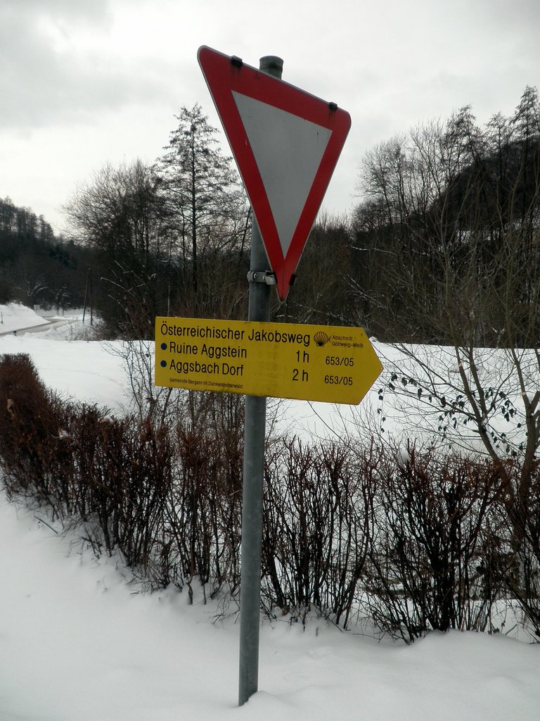P1310004.JPG