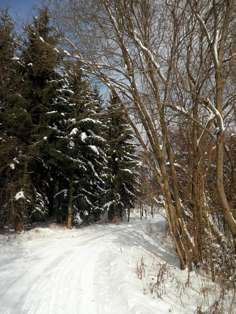 P1310010.JPG