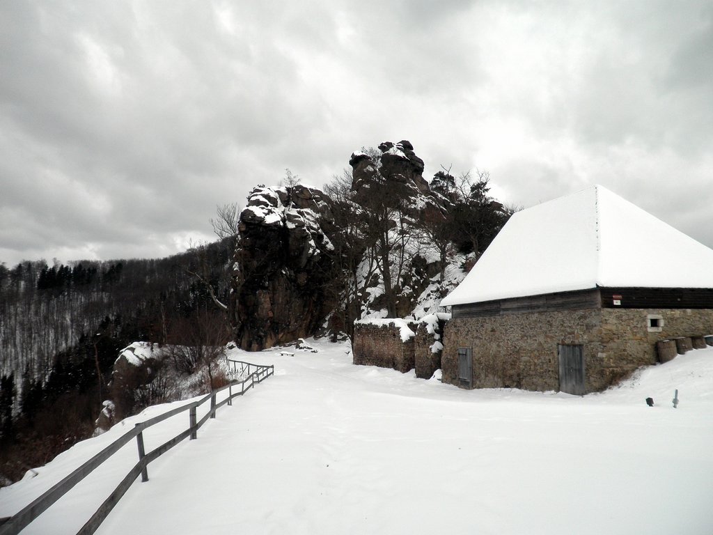 P1310018.JPG