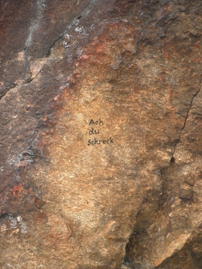 P1310024.JPG