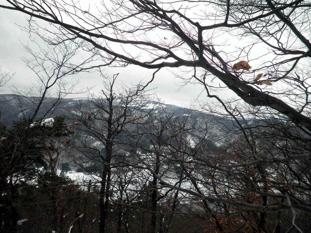 P1310034.JPG