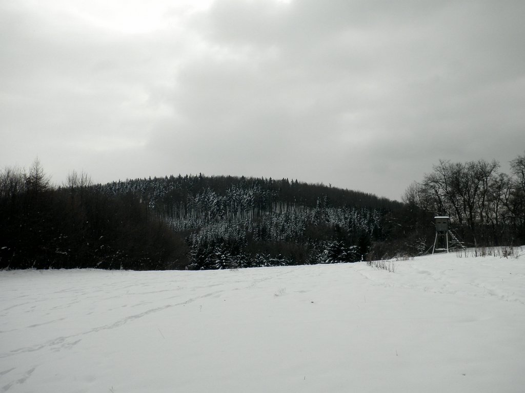 P1310038.JPG