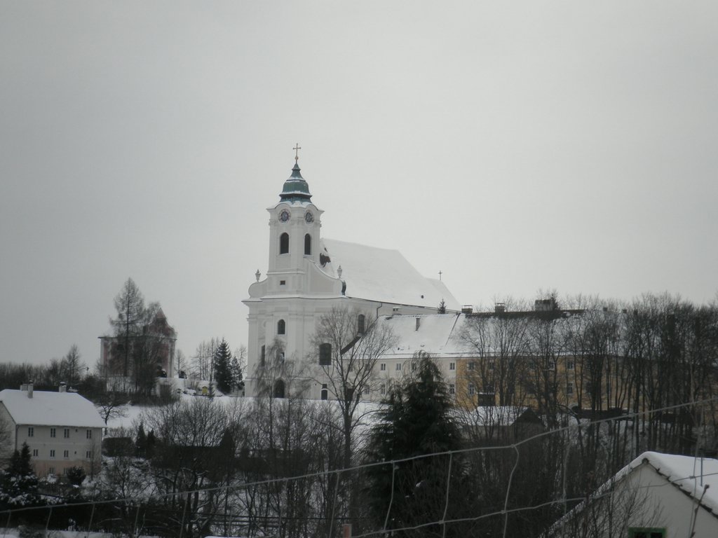 P1310041.JPG