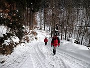 P1310005.JPG