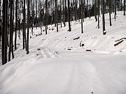 P1310007.JPG