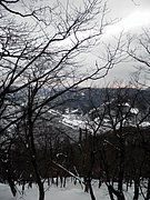 P1310033.JPG