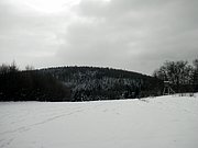 P1310038.JPG