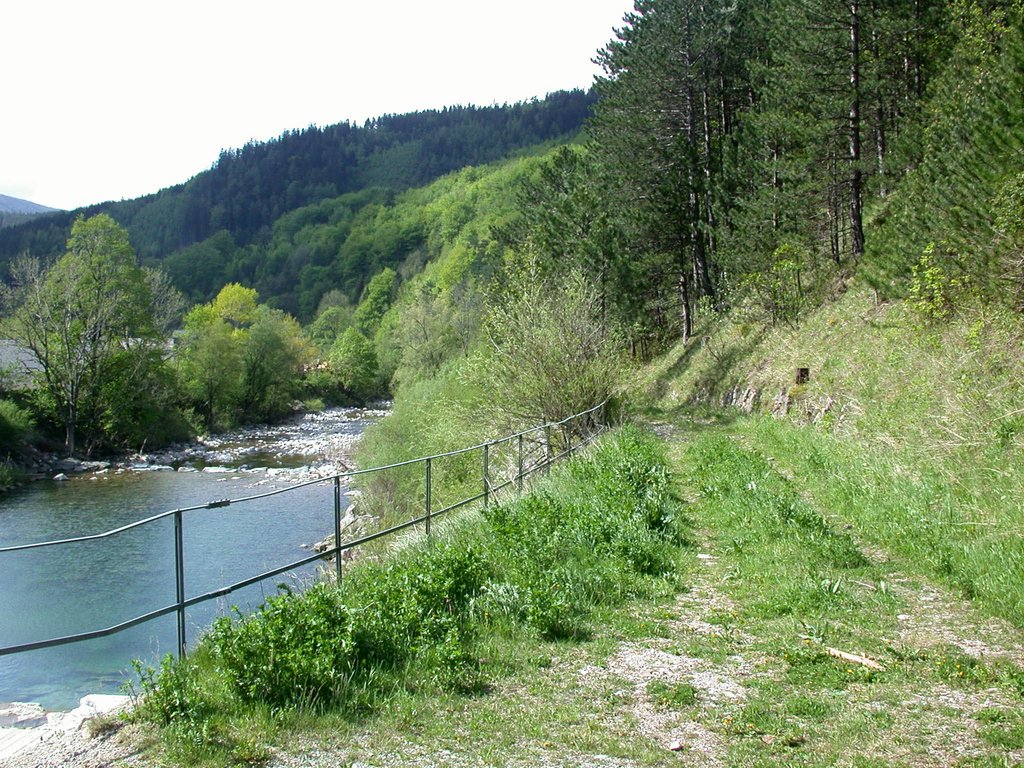 DSCN5404.JPG
