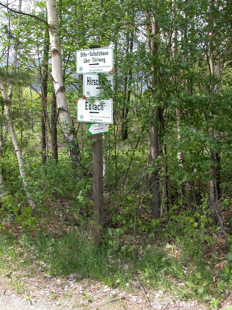 DSCN5412.JPG