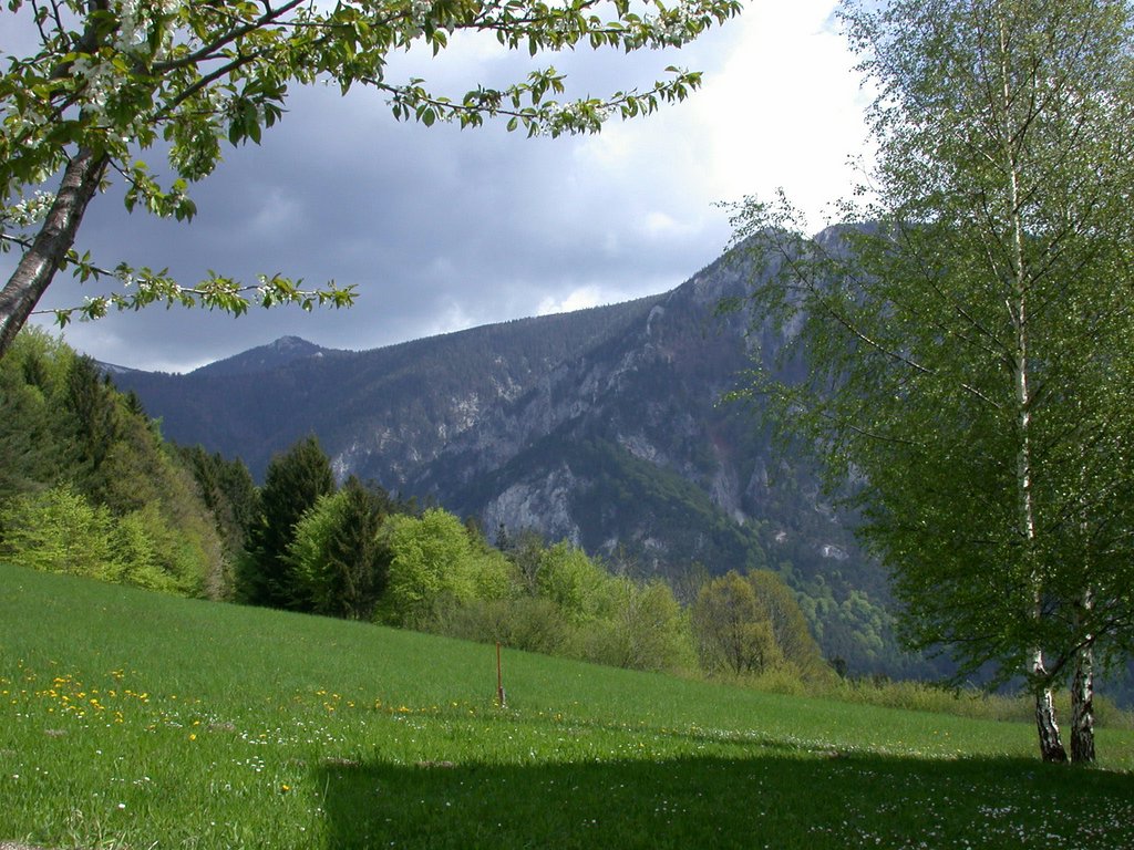 DSCN5416.JPG