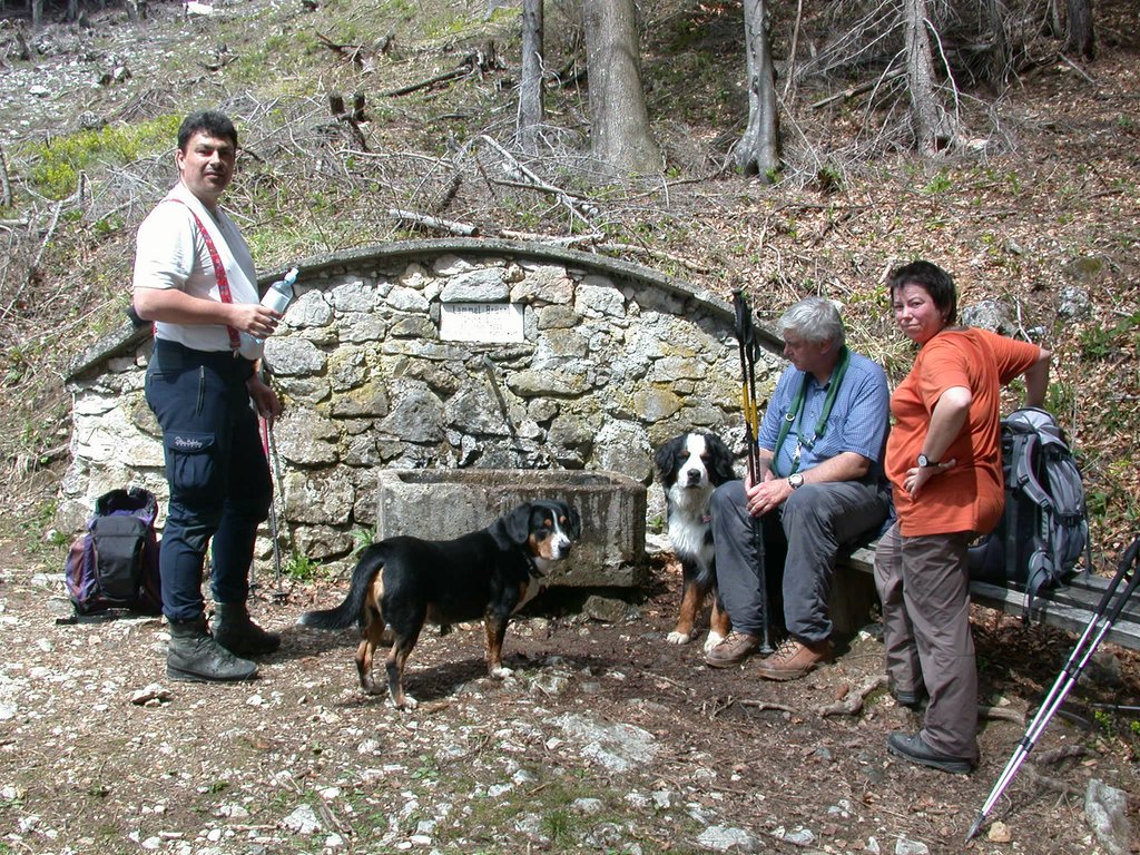 DSCN5421.JPG
