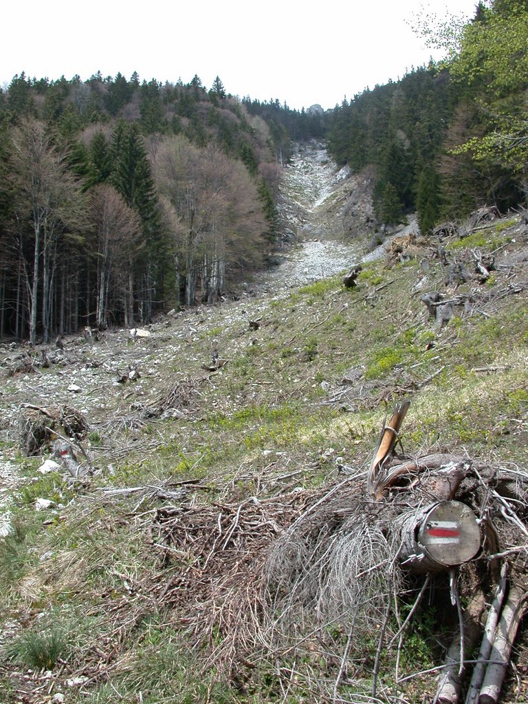 DSCN5424.JPG