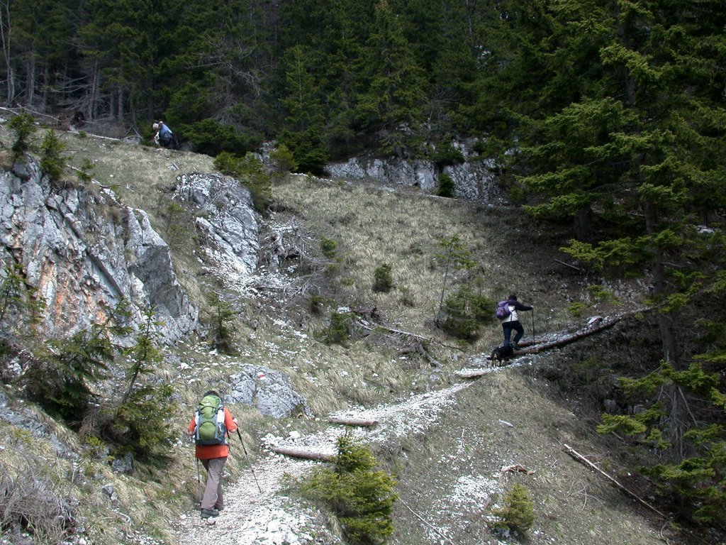 DSCN5426.JPG