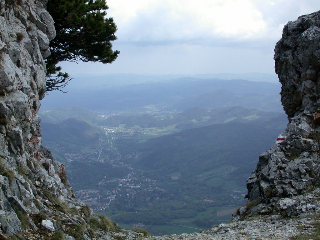 DSCN5434.JPG