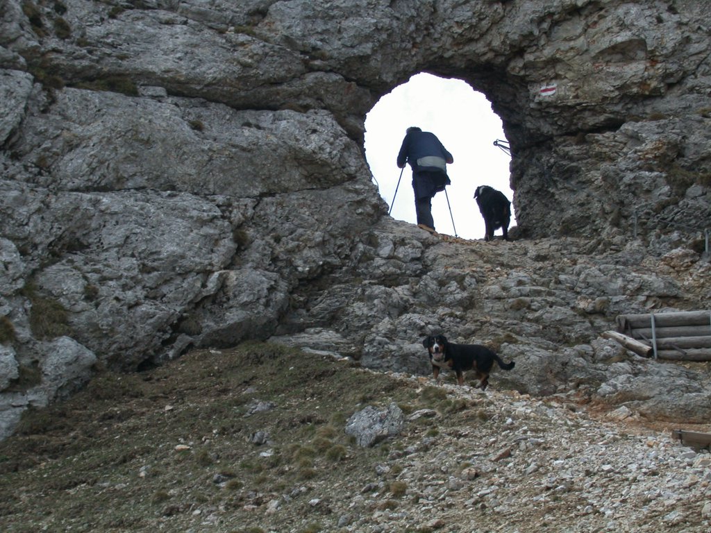 DSCN5436.JPG