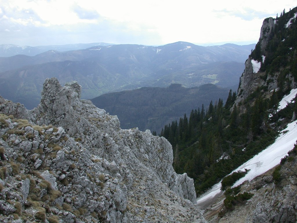 DSCN5439.JPG