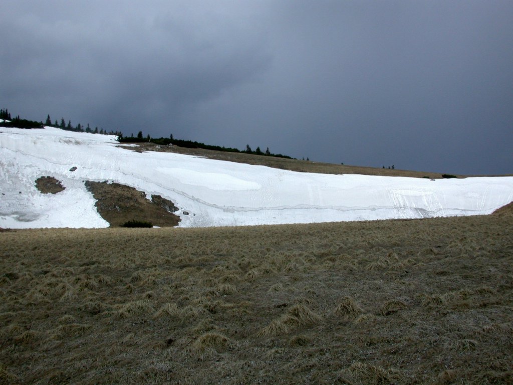 DSCN5441.JPG