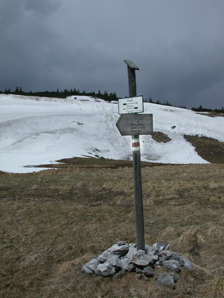 DSCN5443.JPG