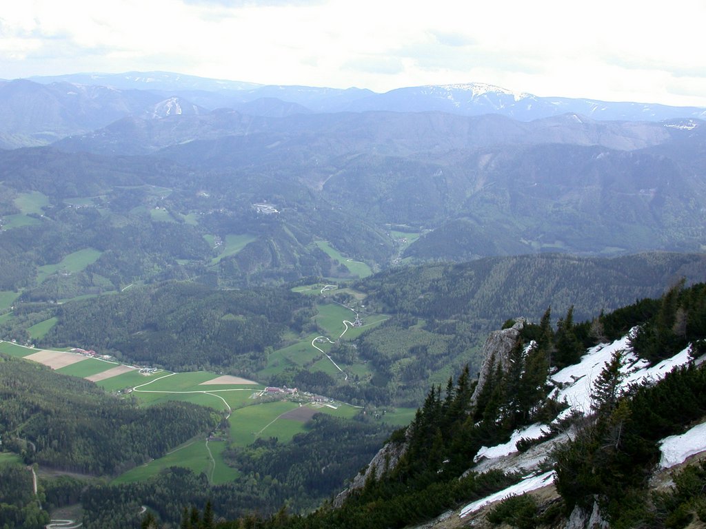 DSCN5451.JPG