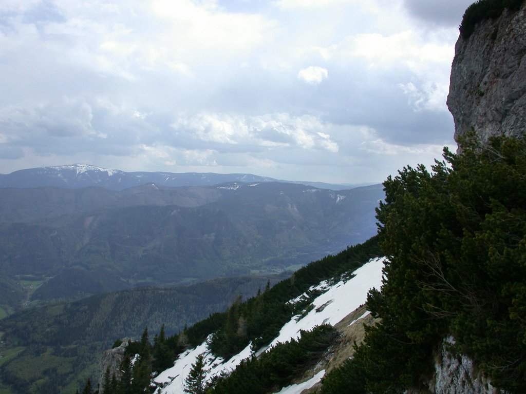 DSCN5452.JPG