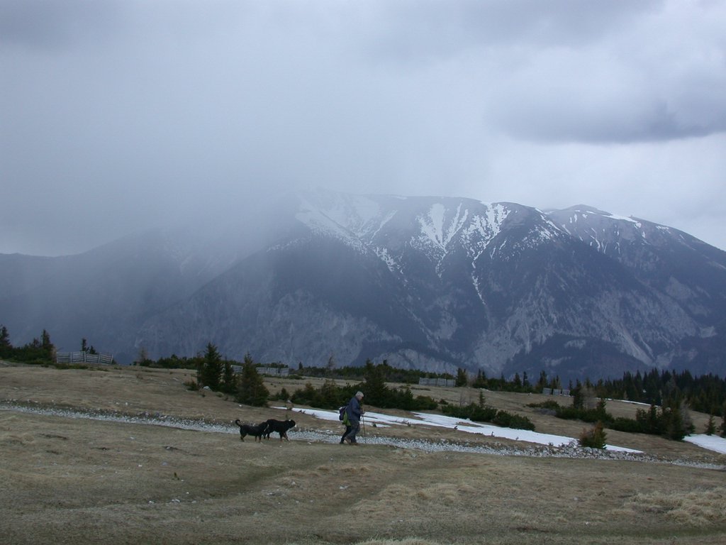 DSCN5455.JPG