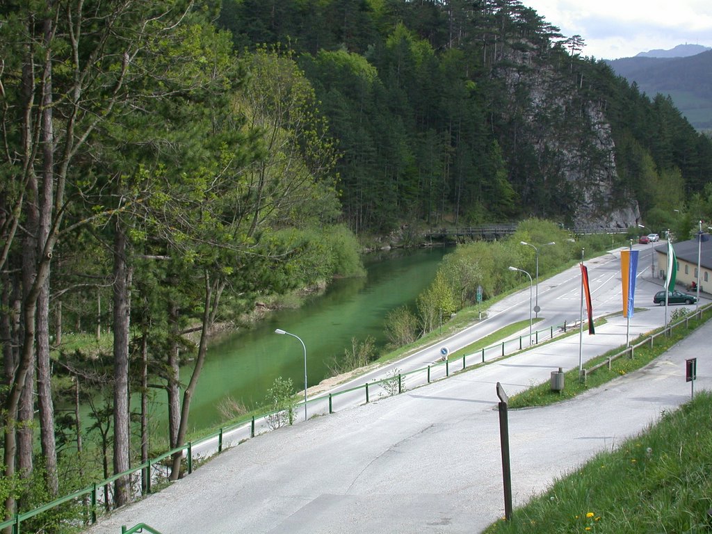 DSCN5458.JPG