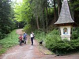 DSCN5407.JPG