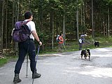 DSCN5411.JPG