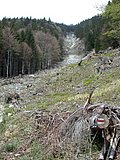 DSCN5424.JPG
