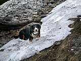 DSCN5429.JPG