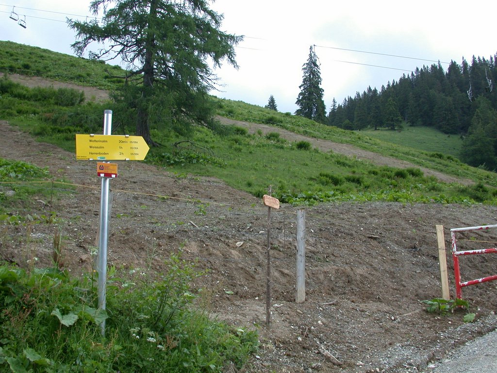 DSCN6115.JPG