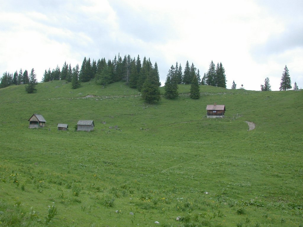 DSCN6122.JPG