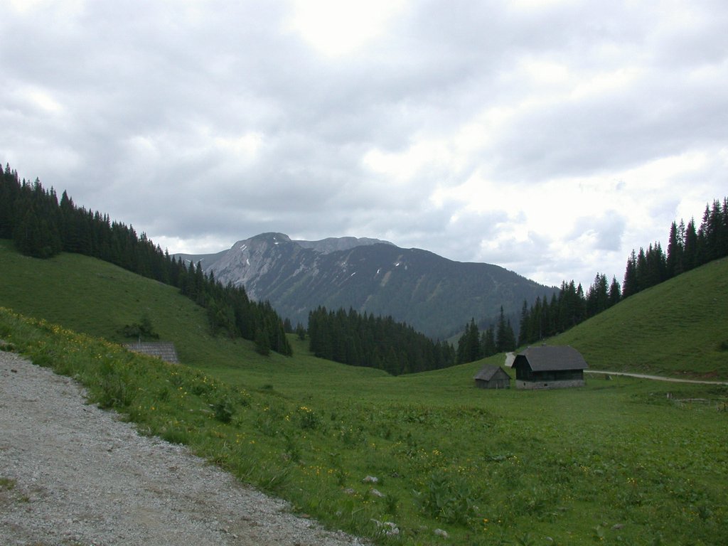 DSCN6125.JPG